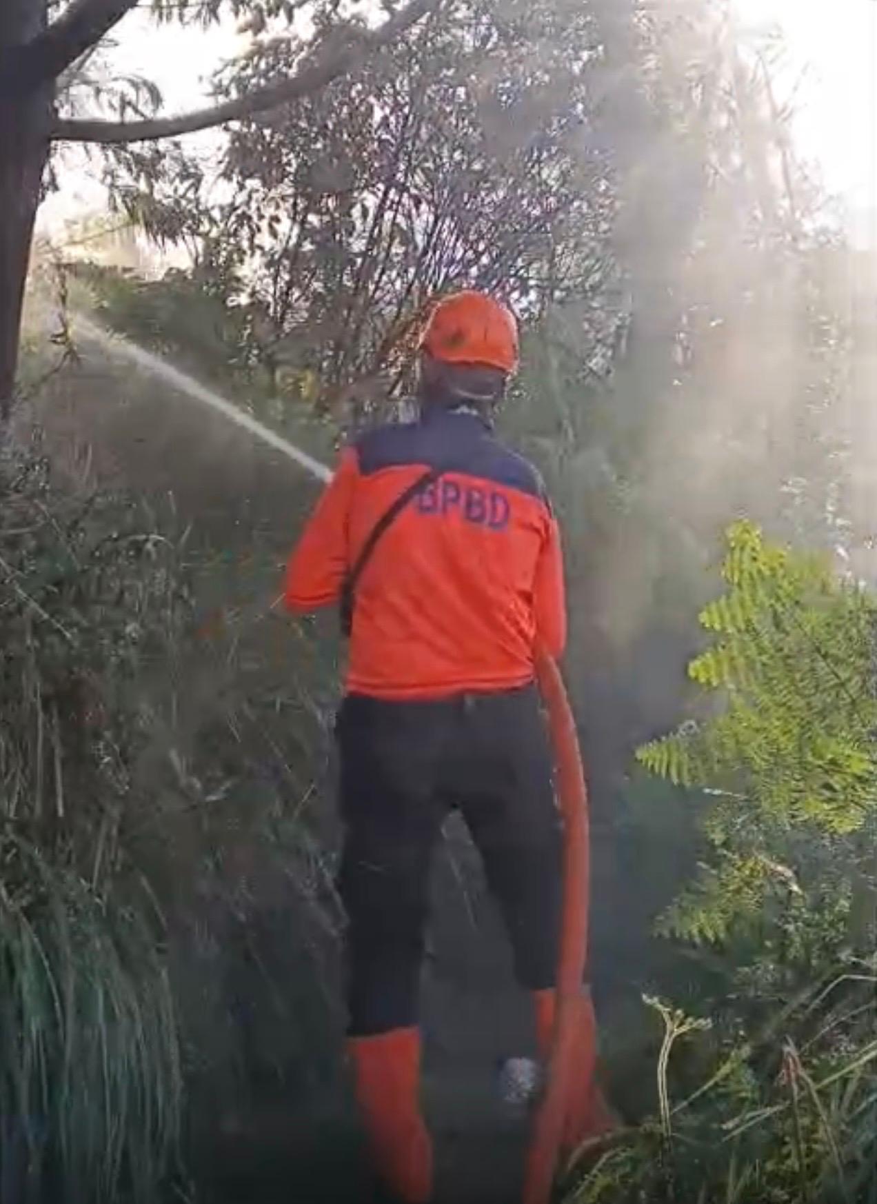 Kawah Ijen Ditutup Sementara karena Kebakaran Hutan